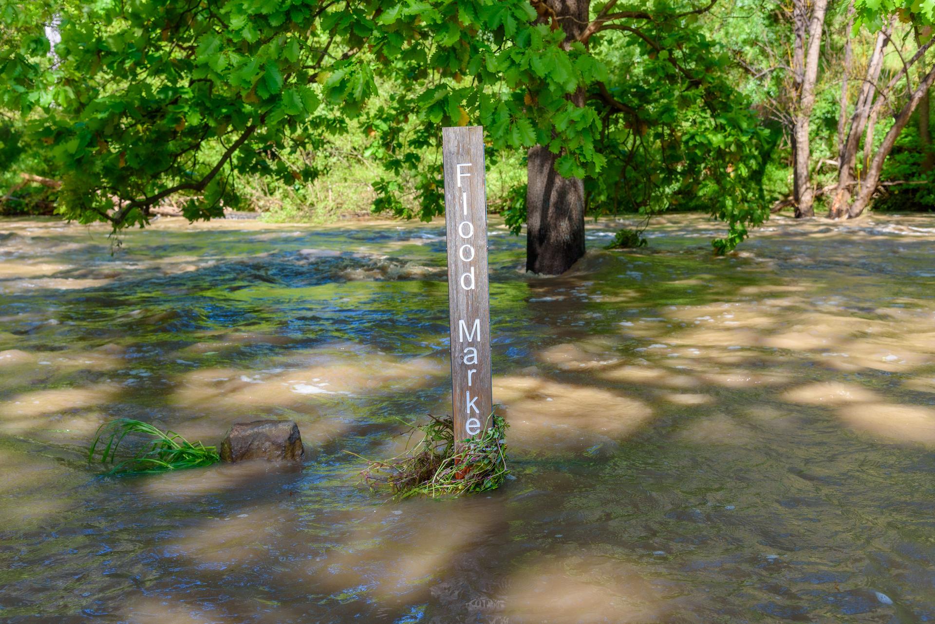 A wooden flood marker post surrounded by the rushing waters of Merri Creek